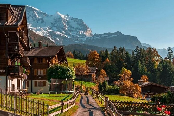 Swiss Countryside Tour in Free-Cars Town - Transportation Details