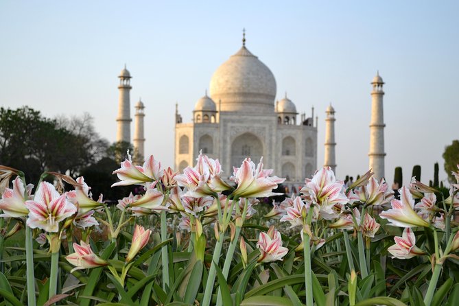 Taj Mahal Sunrise and Agra Overnight Tour From Chennai