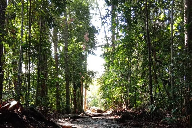 Taman Negara National Park DAY Tour (SIC - Join In Tour) - Tour Overview