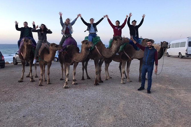 Tangier Private Tour & Camel Ride (Sightseeing & Walking Tour) - Pickup and Drop-off Information