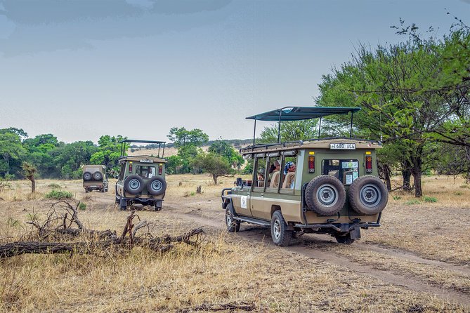 Tanzania 8 Day Private Safari Experience - Itinerary Highlights