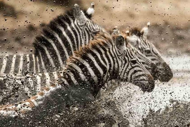 Tanzania Classic Safari - 7 Days - Safari Itinerary Overview