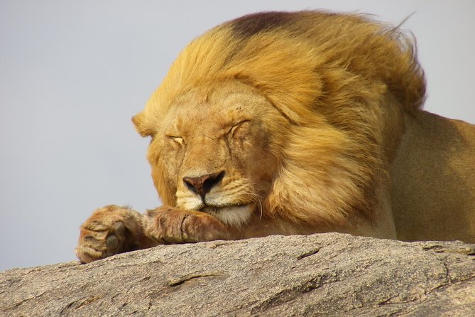 Tanzania Rafiki Adventure