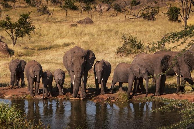 Tanzania Wildlife Safari - Tarangire | Serengeti and Ngorongoro Crater - Meeting Points