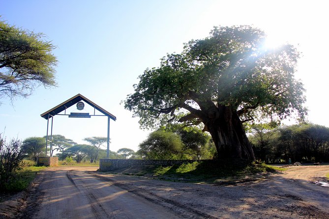 Tarangire National Park - Location and Inclusions