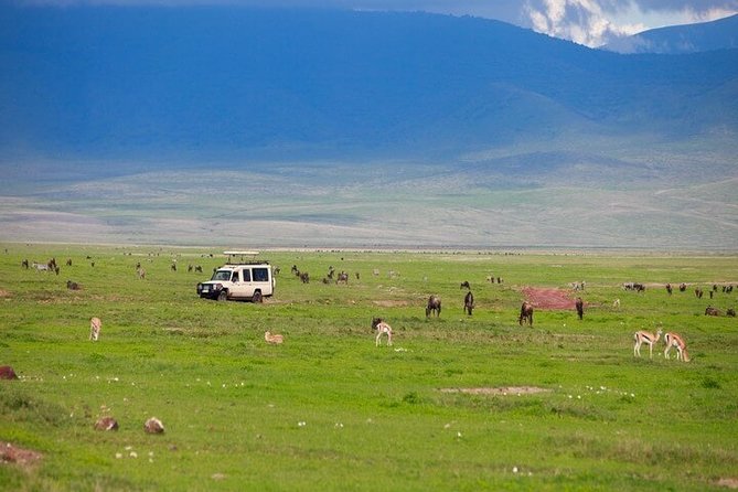 Tarangire, Ngorongoro & Lake Manyara Group Safari (3 Days) - Itinerary Highlights