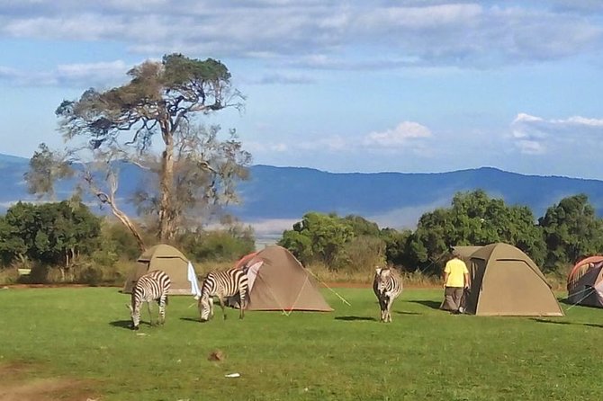 Tarangire, Serengeti, Ngorongoro Group Tour (4 Days) - Tour Highlights