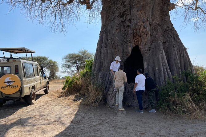 Tarangire, Serengeti, Ngorongoro & Lake Manyara Group Safari (5 Days) - Tour Itinerary