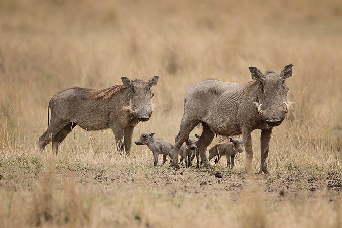 Tarangire,Ngorongoro & Lake Manyara | 4 Day - Inclusions
