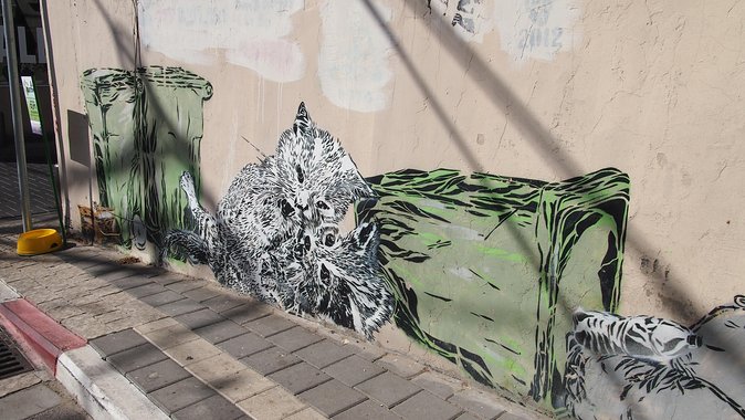 Tel Aviv Street Art Tour - Engaging With Local Artists