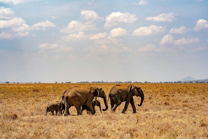The Best 4 Days Serengeti & Ngorongoro Private Mid-range Safari - Safari Itinerary