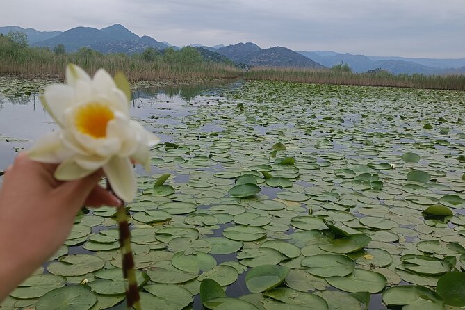 The First Chapter of Montenegro – Private Tour