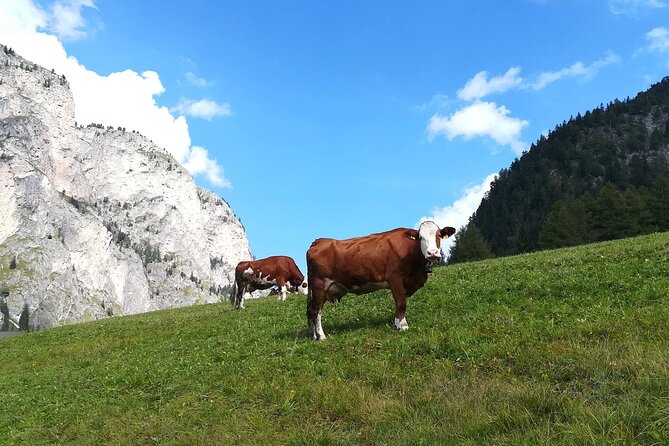The Grand Dolomites Tour From Lake Garda - Itinerary Details and Starting Points