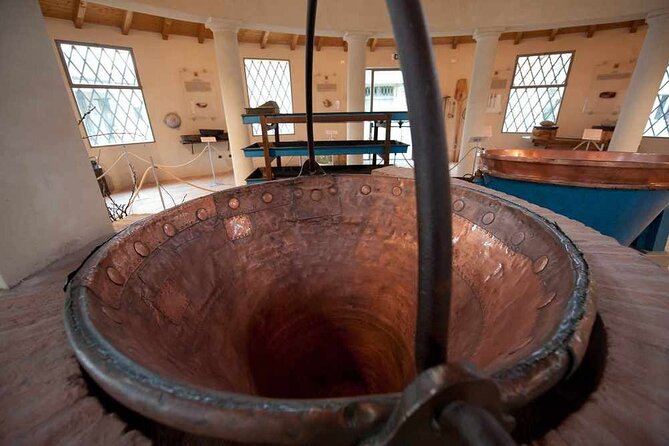 The Parmigiano Reggiano - Parmesan Cheese Museum - Highlights of the Museum Experience