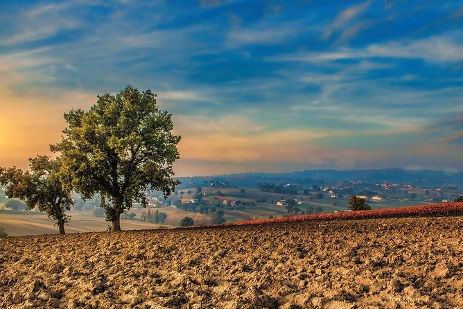 3 Best Shopping Tours In Umbria