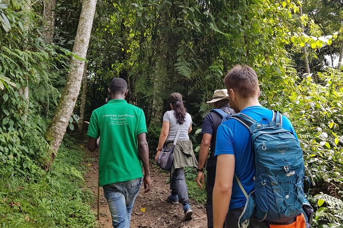 Three-day Nyungwe Canopy and Kivu Lake Adventure