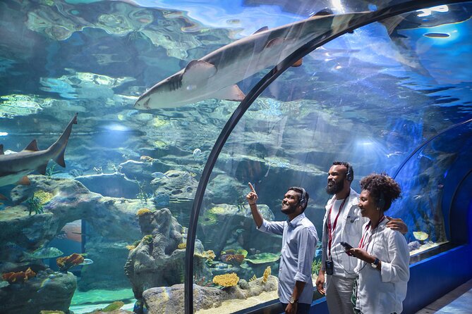Ticket to the Largest Oceanarium of the Mascarene Islands - Oceanarium Highlights