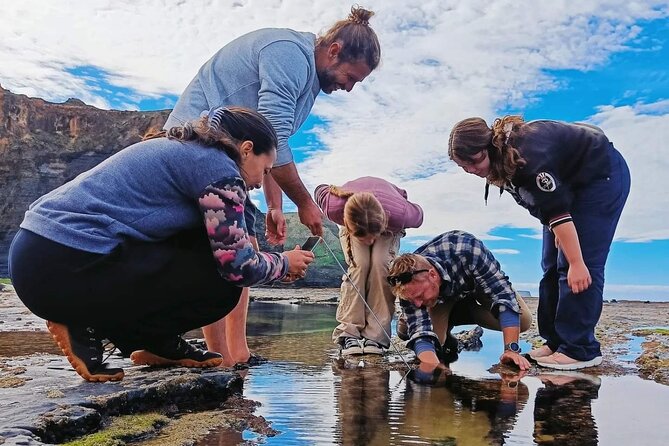 Tide Pool Safari in Monte Clérigo Beach - Meeting Point Details