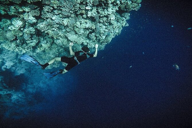 Tiran Island Snorkeling Adventure in Sharm El-Sheikh