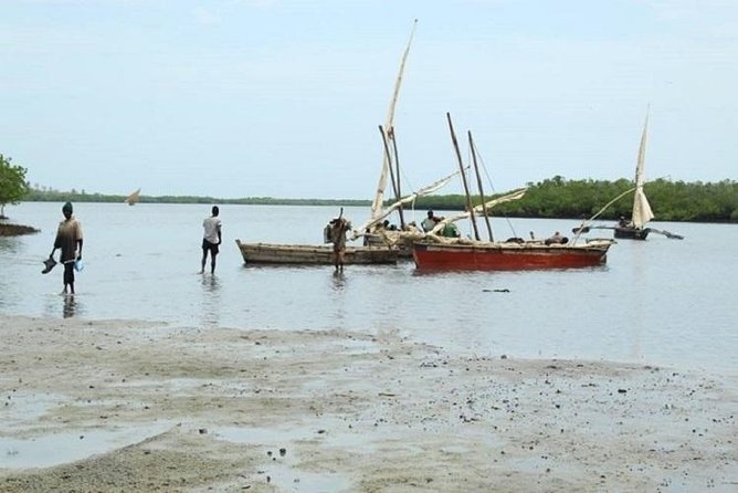 Tongoni Historical Ruins-From Tanga City (Oldest Fishing Village) - Pricing and Reservation Details