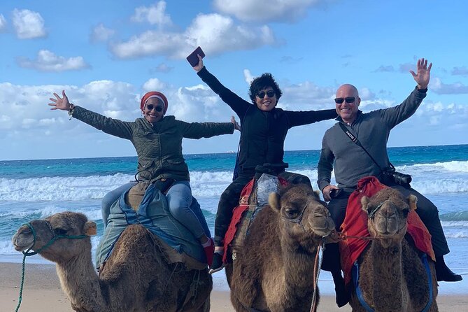 Top VIP 3-Day Tour to Fes Starting From Tangier and Chefchaouen - Tour Highlights