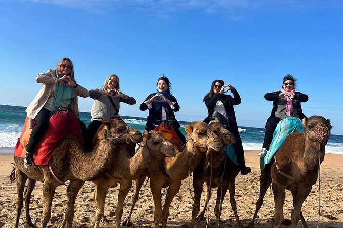 Top VIP Private Tour of Tangier From Estepona All Inclusive - Additional Services Provided