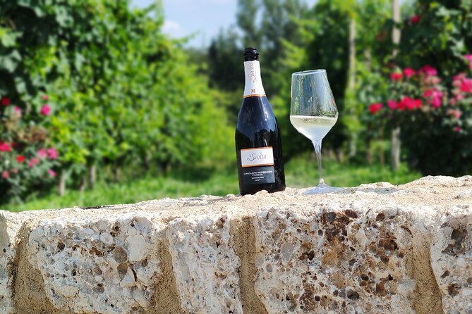 Tour and Tasting in the Hills of Prosecco Superiore DOCG - Vineyard Visit