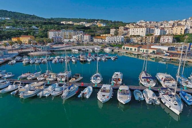 Tour of Gargano With the Train From Foggia to Rodi Garganico - Start Time and Logistics