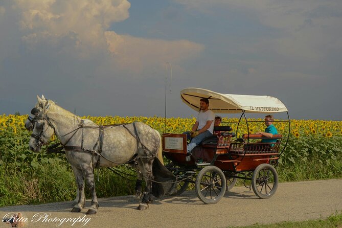 Tour the Wine Route - Route Highlights