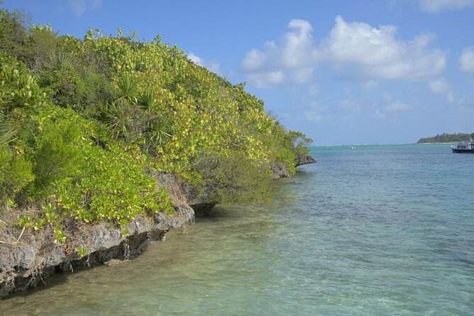 Traditional Fishing Experience With a Local Fisherman Mauritius - Experience Details