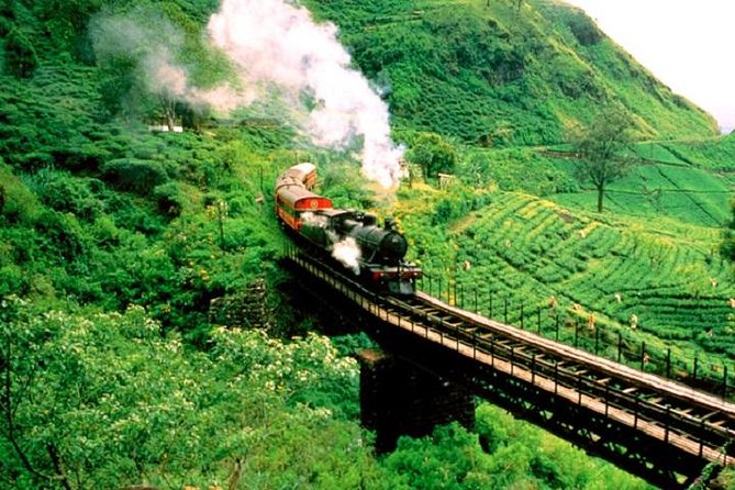 Train Tickets From Nanuoya (Nuwaraeliya) to Ella - What To Expect
