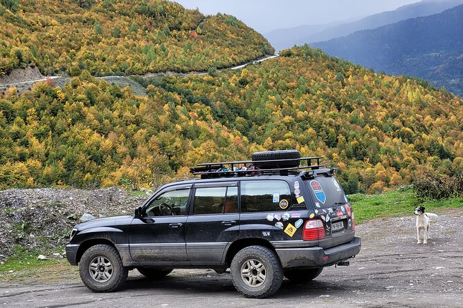Transfer From Kutaisi Airport to Mestia - Pickup and Drop-off Points