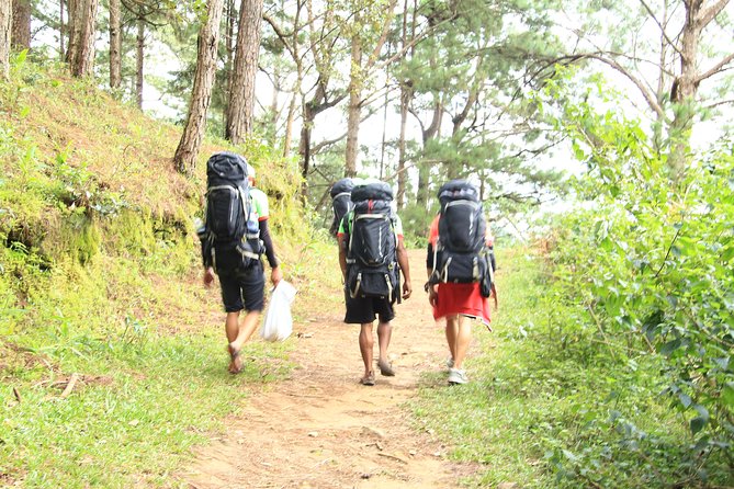 Trek On Langbian Mountain