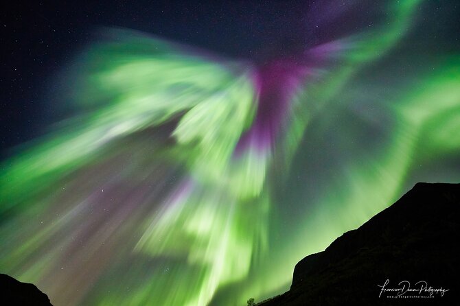 Tromso: Private Aurora Chase by Minivan