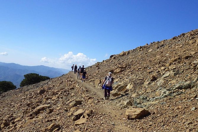 Troodos Walking Trip (Artemis+/Myllomeris Waterfalls) - Private From Limassol - Important Information for Participants