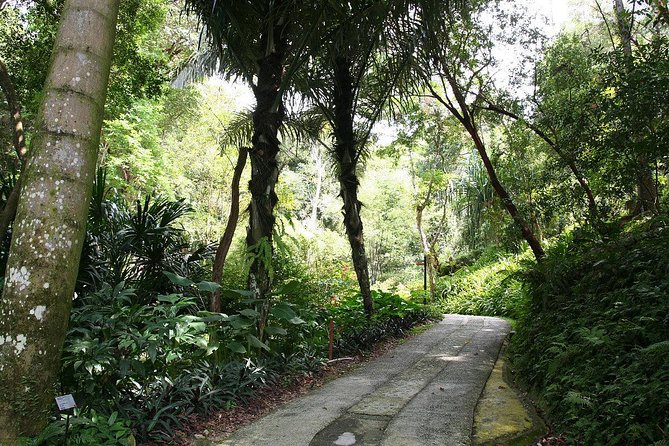 Tropical Spice Garden
