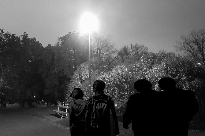 True Crime Walk in Helsinki - Tour Overview