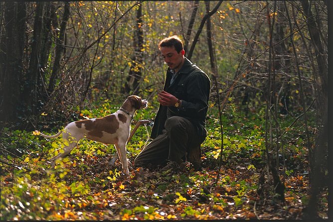 Truffle Hunting in the Woods of Istria and Wine Tasting With Alex - Truffle Hunting Experience in Istria