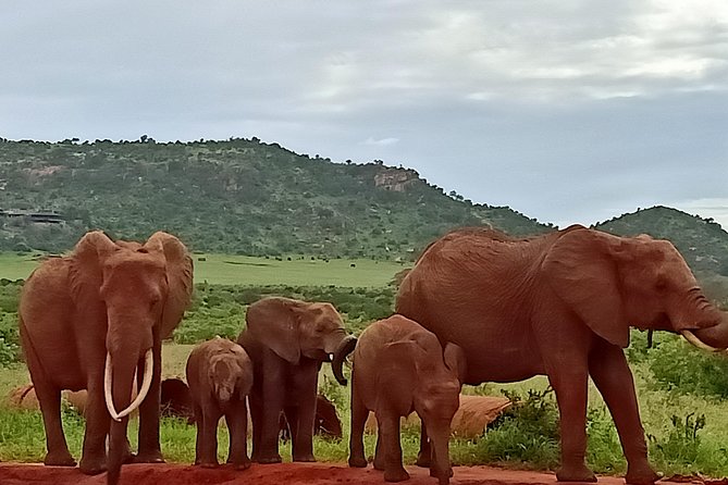 Tsavo Expedition Safari - Meeting and Pickup Details