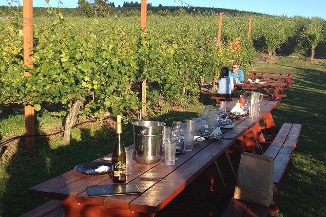Tuscany: Chianti Semi-Private Wine Tasting and Dinner in Vineyard - Meeting and Pickup Details