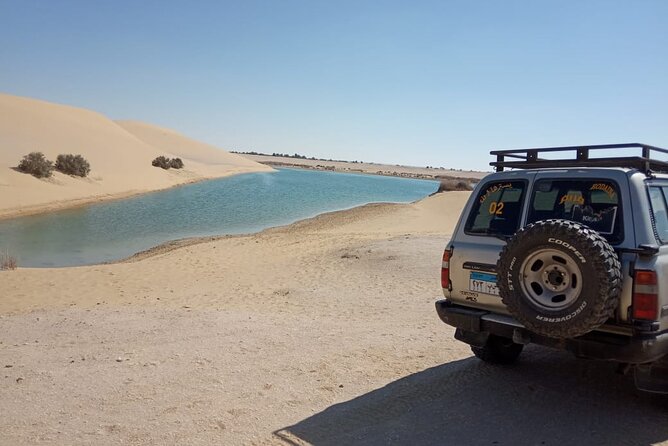 Two Day Tours Adventuring The Whale Valley, Desert Camping & Giza Pyramids - Inclusions and Amenities