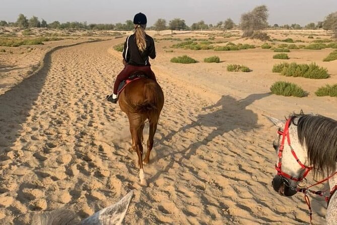 Two-Hour Horse Riding Adventure in Marsa Alam With Transfer