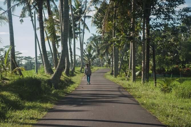 Ubud Art, Monkey Forest and Rice Terrace Tour - Tour Highlights