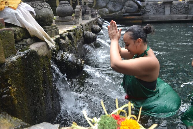 Ubud One Day Private Guided Tour - Tour Highlights