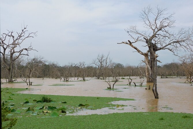 Udawalawa Safari & Elephants Orphanage Tour From Hambantota Port - Additional Information