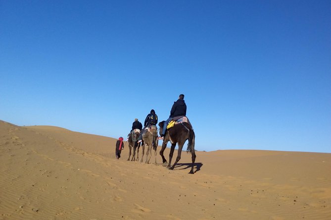 Under The Stars in the Desert Merzouga Morocco - Tour Details