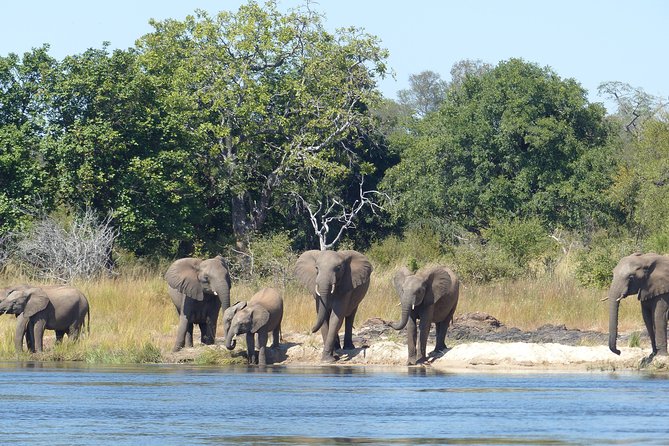 Upper Zambezi Canoeing - What To Expect