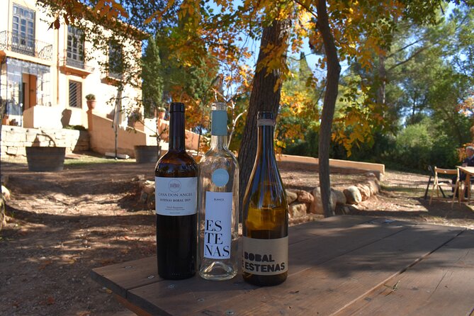Utiel-Requena Excursion: Uncover the Flavors of Valencias Wine