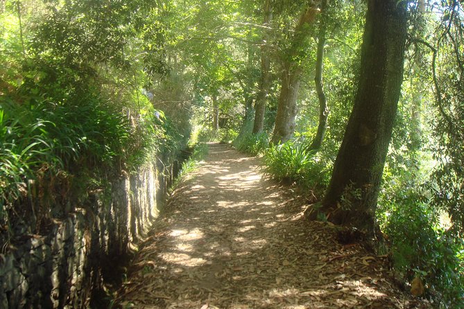 Valley De Paradise Levada Walk