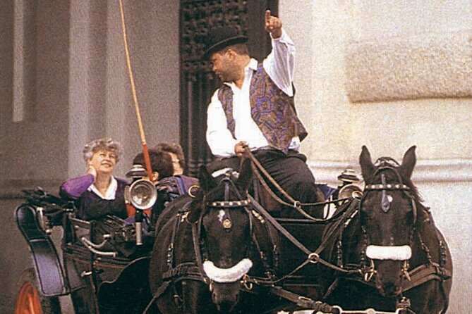 Vienna Mozart VIP Package: Concert, Dinner and Carriage Ride - Package Inclusions